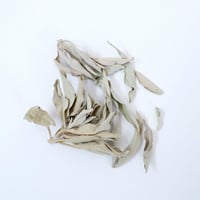 ホワイトセージ　10g・20g