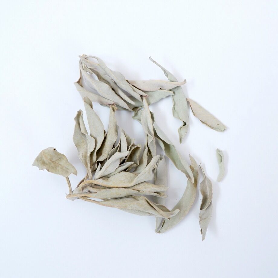 国産ホワイトセージ500g（茎付き） Amazon.co.jp: ホワイトセージ 浄化用 セージの葉 無農薬