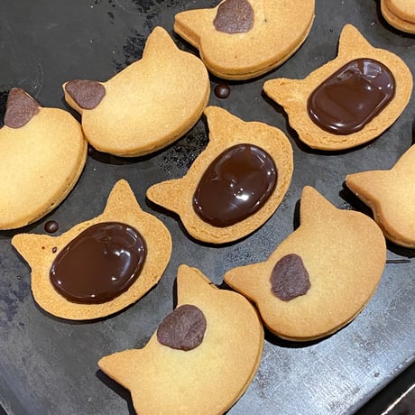 猫缶