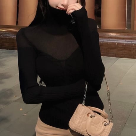 Sheer Layered Turtleneck Knit Top 2色