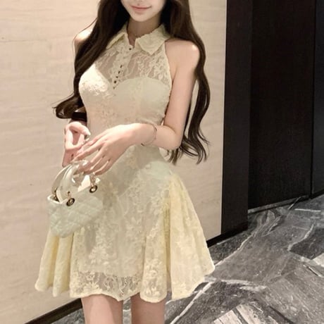 Lace Collar Flare Dress