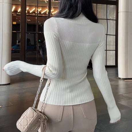Sheer Layered Turtleneck Knit Top 2色