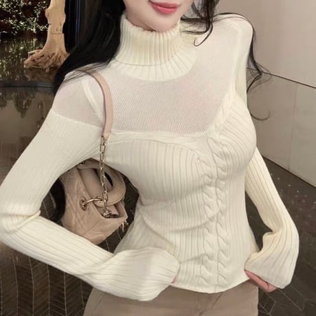 Sheer Layered Turtleneck Knit Top 2色