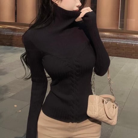 Sheer Layered Turtleneck Knit Top 2色