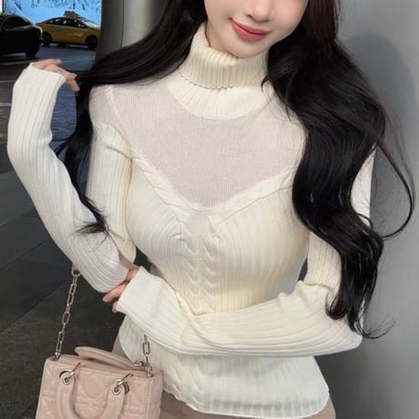 Sheer Layered Turtleneck Knit Top 2色
