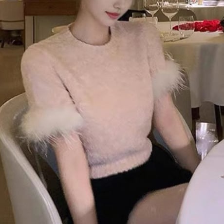 Feather Sleeve Knit Top