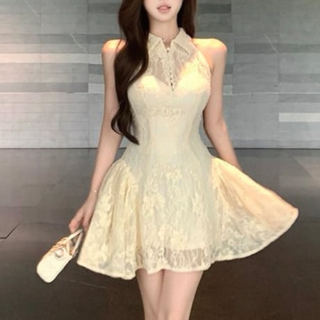 Lace Collar Flare Dress