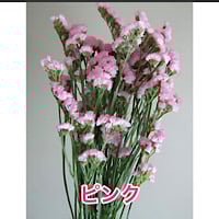 5.スターチスリース スターチスと薔薇のドライミックスリース | 街角花屋 floRalies STORE