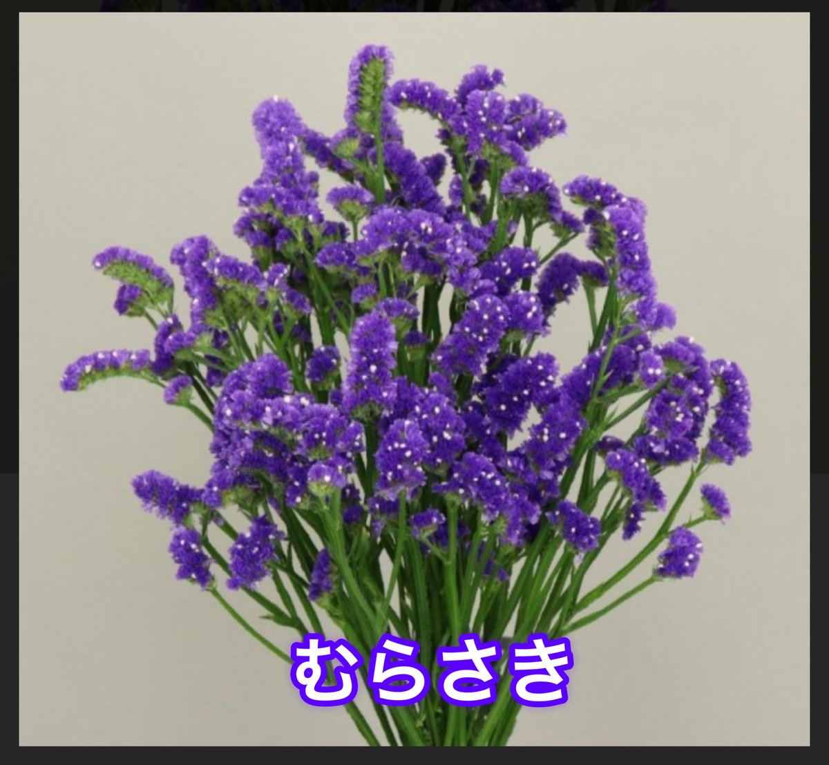 色が選べる！スターチスリース | ryuka-flower