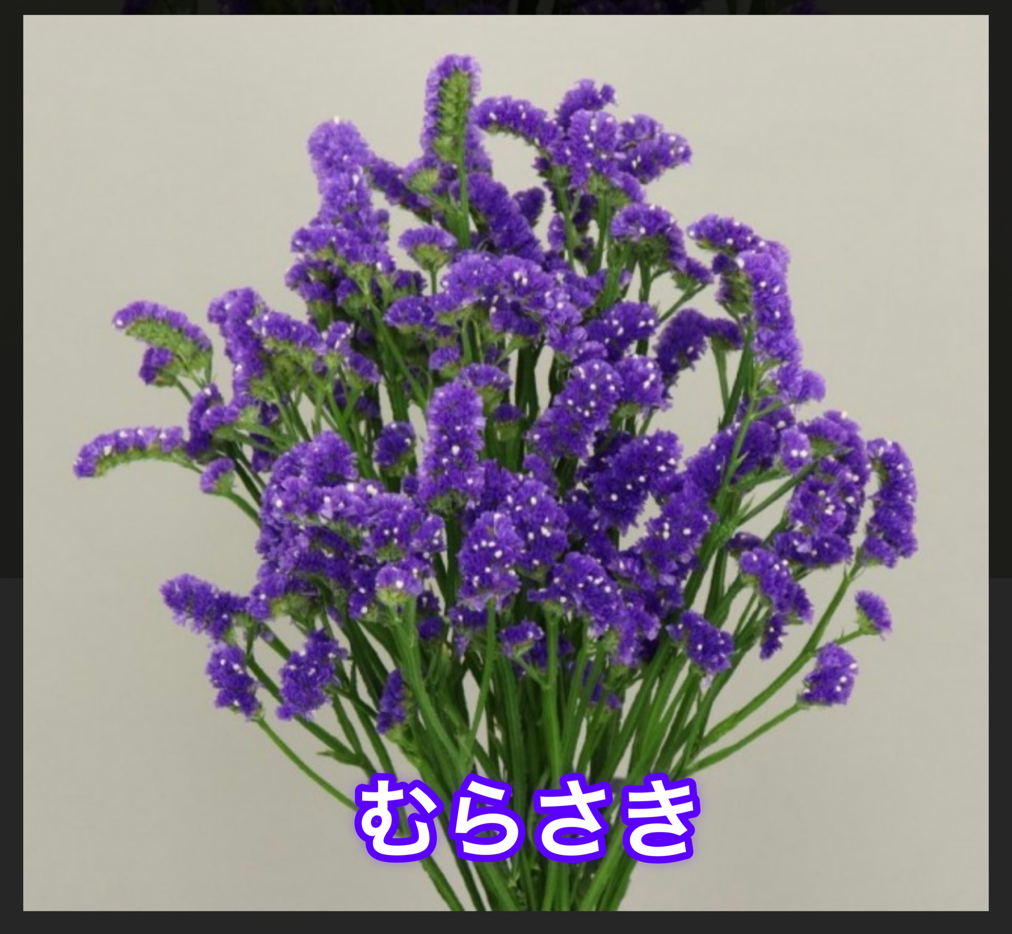 色が選べる！スターチスリース | ryuka-flower