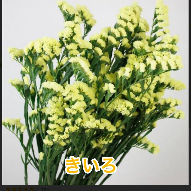 色が選べる！スターチスリース | ryuka-flower