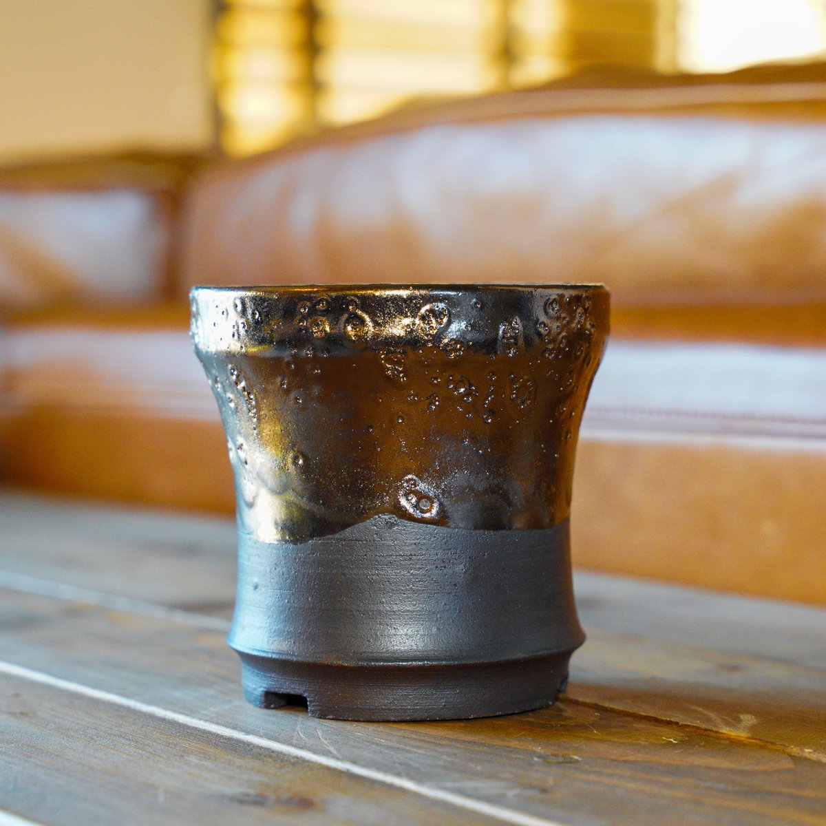 龍正   鉢 fit=scale-down,w=1200