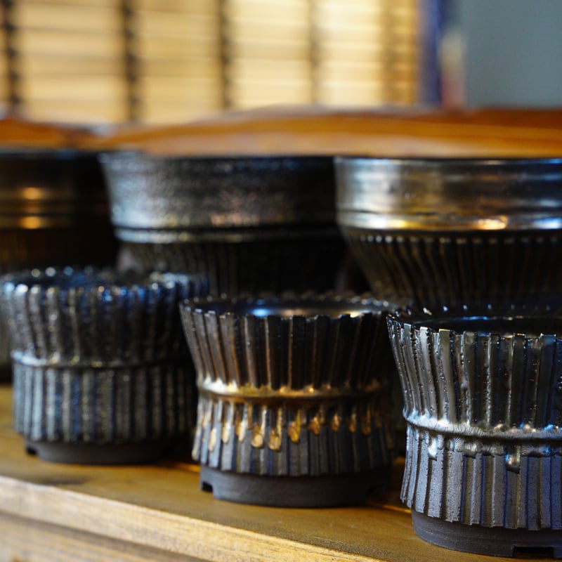 桑江良寿 歯車鉢-ブラック-4号 | Supervoid Caudex