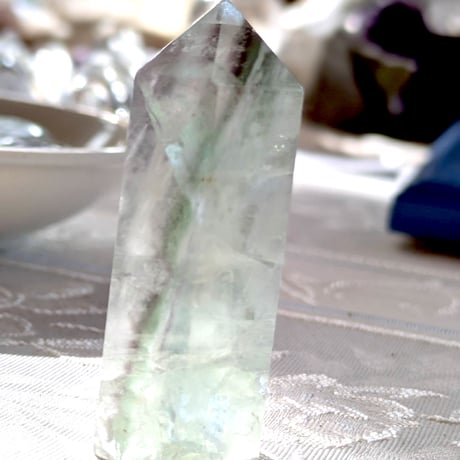 天才の石 | STORES