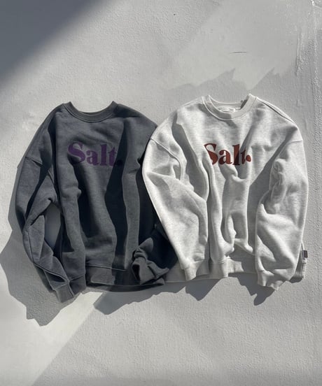 Logo Volume Sweat 'Salt.'#3610