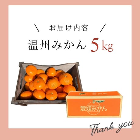 【予約販売】【期間・数量限定・送料込】旬をお届け！温州みかん5㎏（早生または南柑20号）