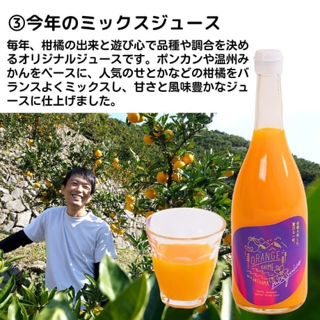 贅沢みかんジュース飲み比べセット　720ml×3本セット