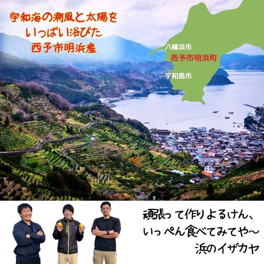 651696b353ee8d002ed76886