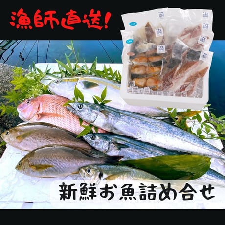 【漁師直送】 新鮮お魚詰め合わせ