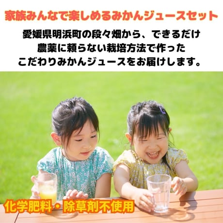 家族で楽しむ贅沢みかんジュースセット 　720ml×3本セット
