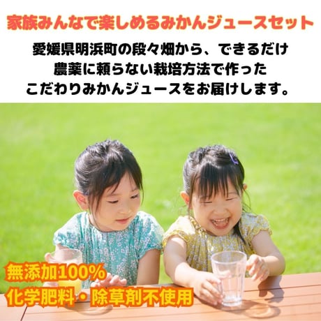 贅沢みかんジュース飲み比べセット　720ml×3本セット