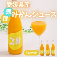 家族で選べるお得な6本セット 720ml×6本 | 浜のイザカヤ オンライン