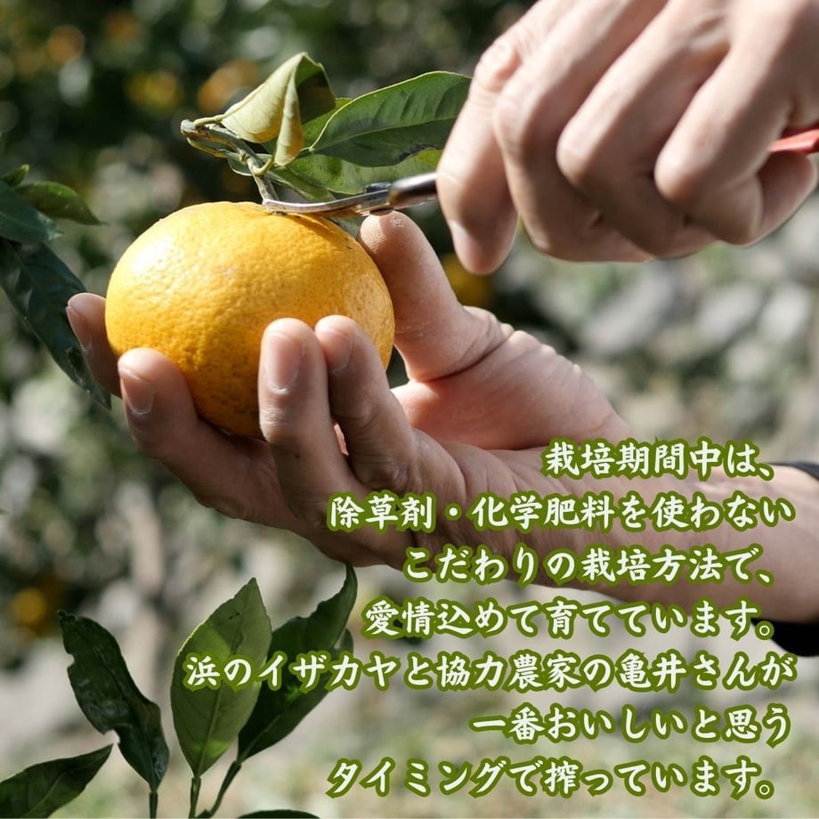 61fcddbfe3bbd16c2355be2c