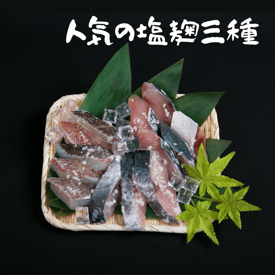 62075b69423f6a66749581cb