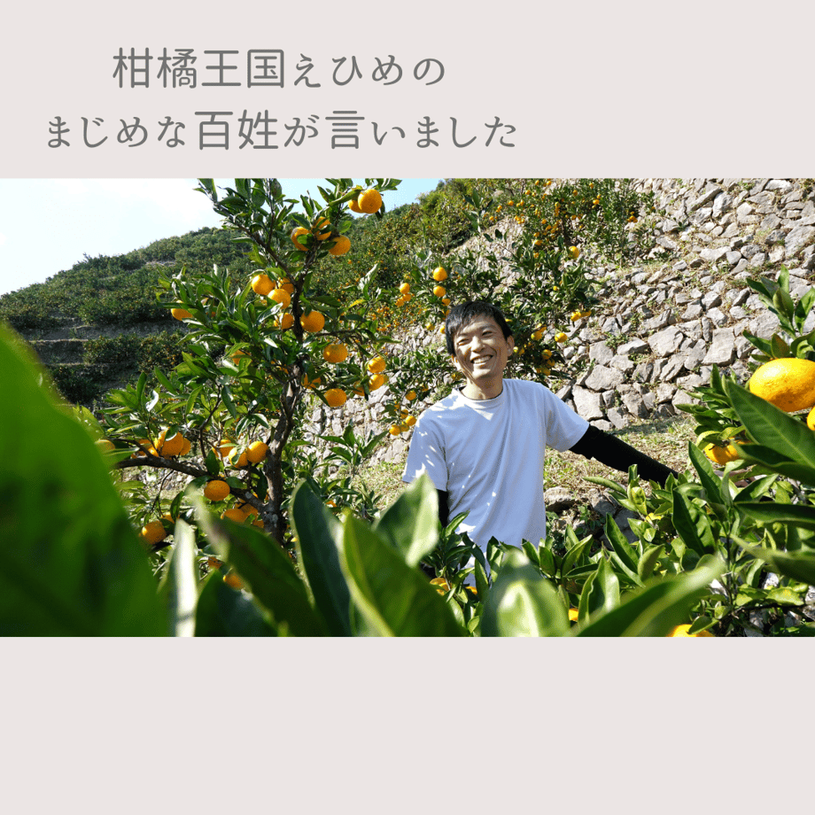 61fcddbfe3bbd16c2355be2c