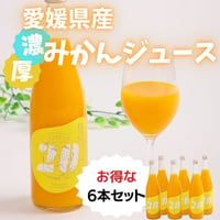 【初搾り】温州みかんジュース＃20　720ml×6本セット