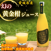 【初搾り】幻の黄金柑ジュース