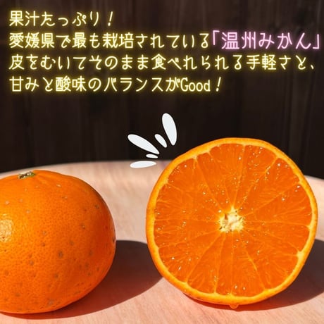 【予約販売】【期間・数量限定・送料込】旬をお届け！温州みかん5㎏（早生または南柑20号）