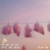 止んで　パラデータ