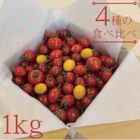 とまおとめ® ４品種食べ比べ １kg【送料込み】