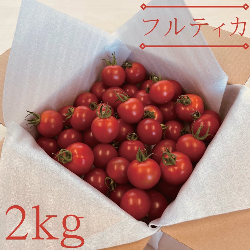 甘〜い フルティカトマト 限定9箱 08 彩トマト 静岡県の農家さんより 