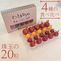 とまおとめ®（4品種MIX）厳選ギフトBOX【送料込み】