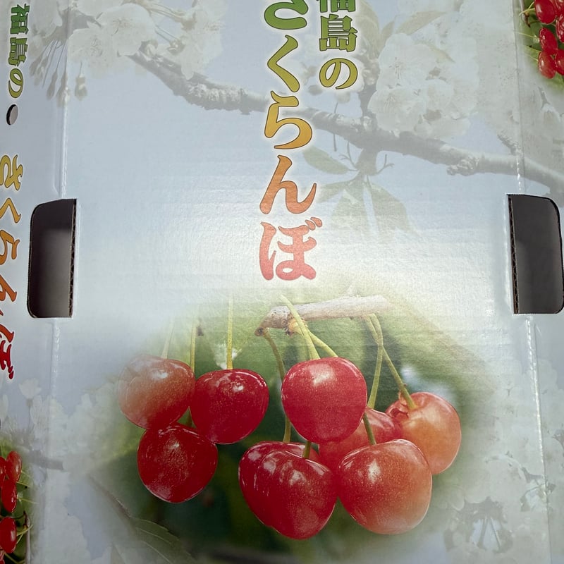 佐藤錦 バラ詰め 1kg Lサイズ | 篠木果樹園