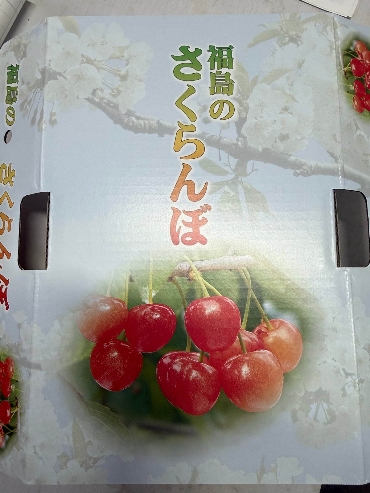 8Gメモリーバラ売り23枚 佐藤錦 バラ詰め 1kg Lサイズ | 篠木果樹園
