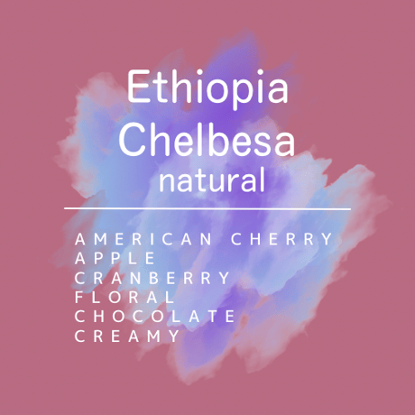 無農薬　エチオピア　イルガチェフェ　チェルベサ　ナチュラル
