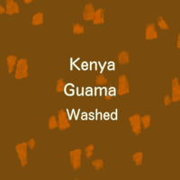 ケニア　グアマ　washed