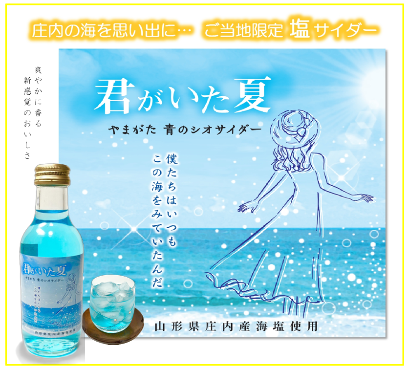 送料無料 1ケース48本入り】ご当地 塩サイダー 君がいた夏 200g
