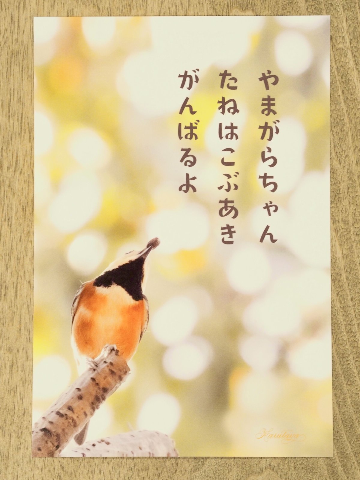 @やまかきページ 00201013-0100.jpg