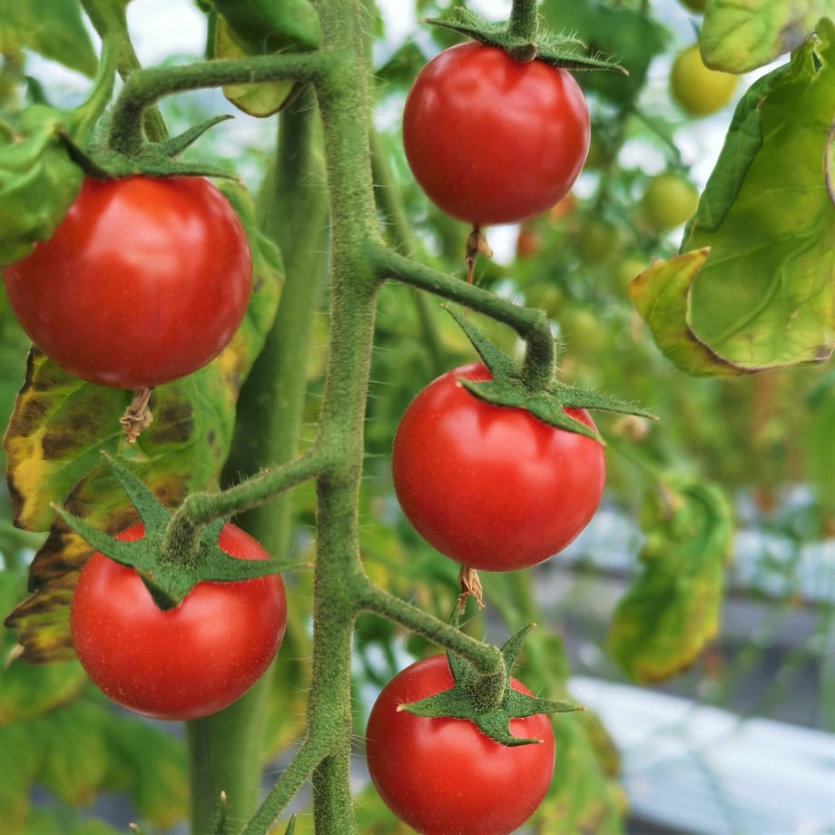 6110bb9fe50c0b17c2d02ca7