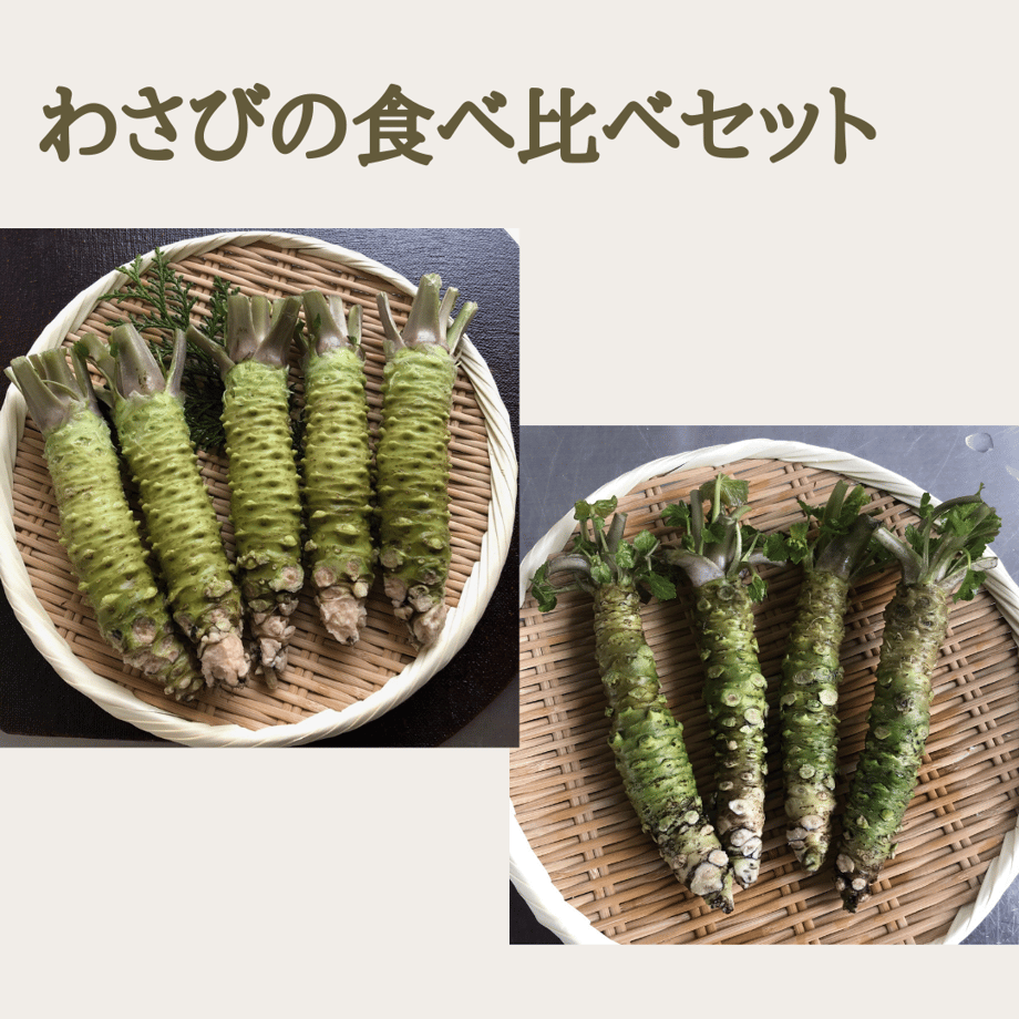 644dab76d9c7d00077bcf924
