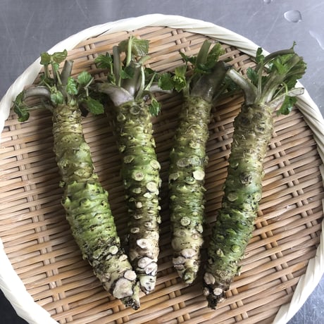 伊豆と島根のわさび食べ比べセット