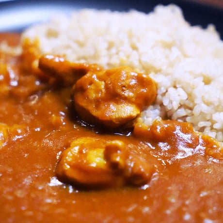 【定期購入】からだ想いカレー10個セット