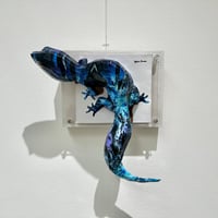 大村洋二朗 アマガエルは壁に張り付く | ギャラリー兼井