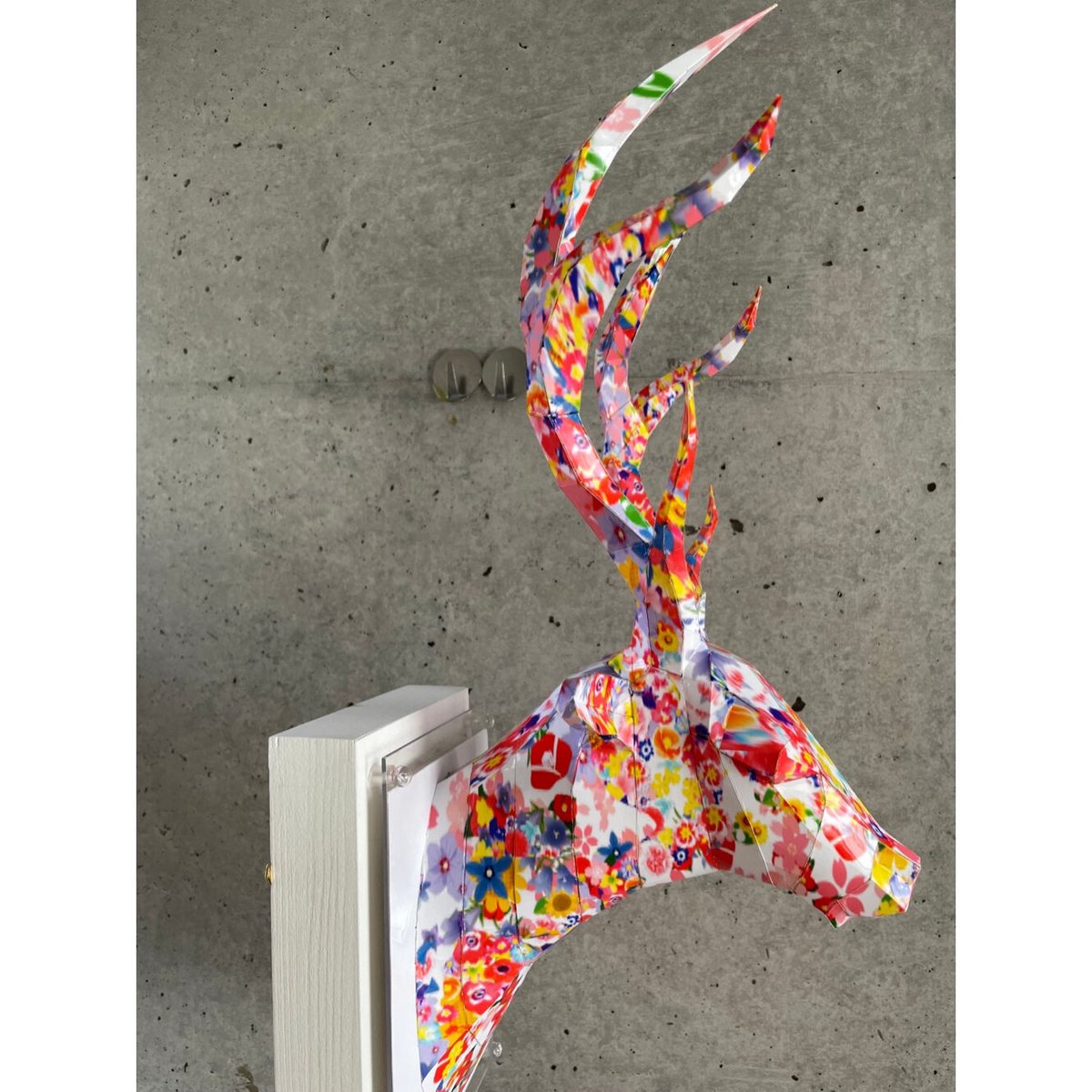 大村洋二朗 花柄テントウムシが部屋に迷い込む 花柄テントウムシが部屋に迷い込む ED:21/30 | 大村洋二朗