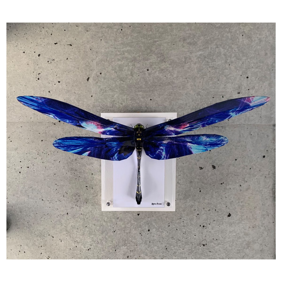 幸せの青い蜻蛉の羽根のART、長寿、亀アート35cm 幸せの青い蜻蛉の羽根のART、長寿、亀アート35cm