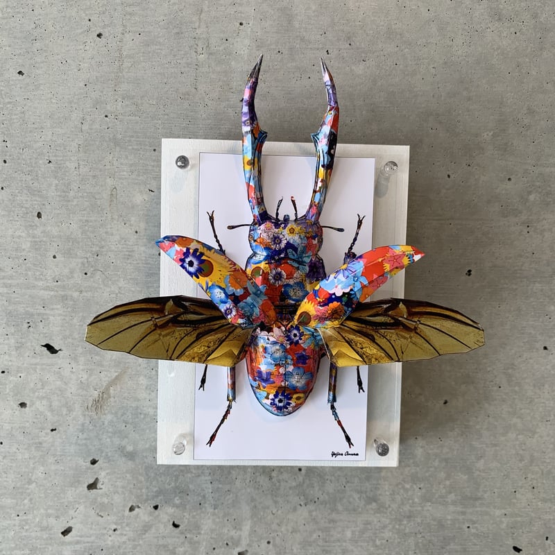 大村洋二朗 花柄クワガタは羽を広げる | ギャラリー兼井